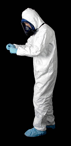 Best Environmental Consulting for Mold Prevention  in Mount Morris, MI