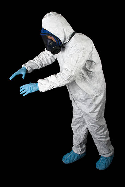 Best Black Mold Removal  in Mount Morris, MI